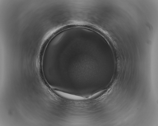 X0000110881319200907021449