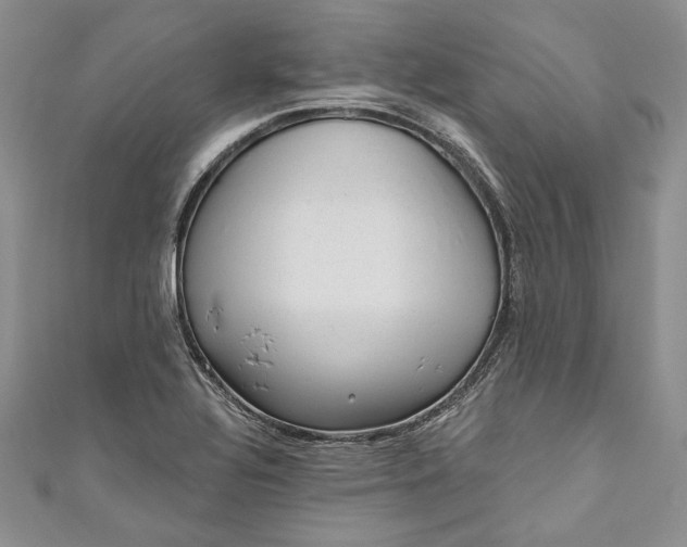 X0000110881320200907021449