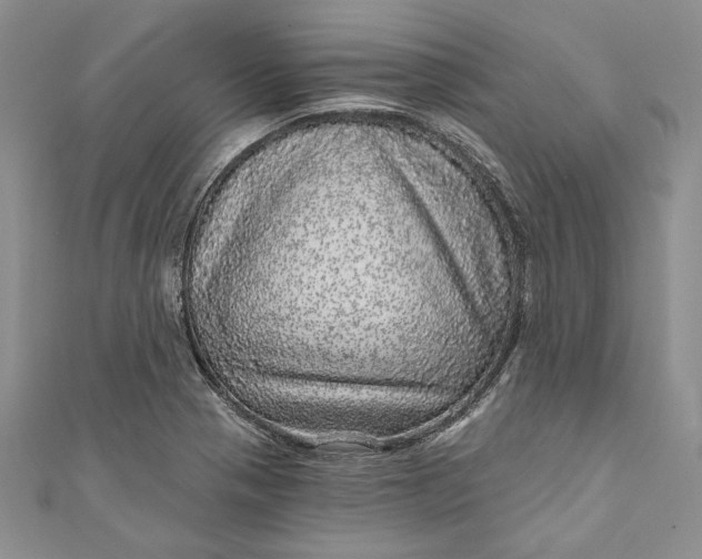 X0000110881321200907021449