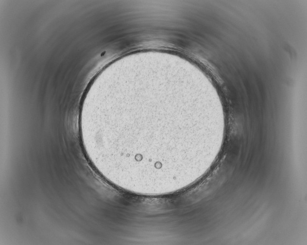 X0000110881322200907021449
