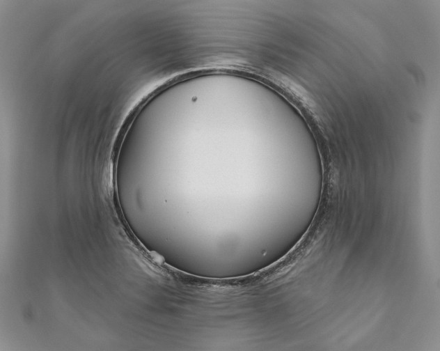 X0000110881324200907021449