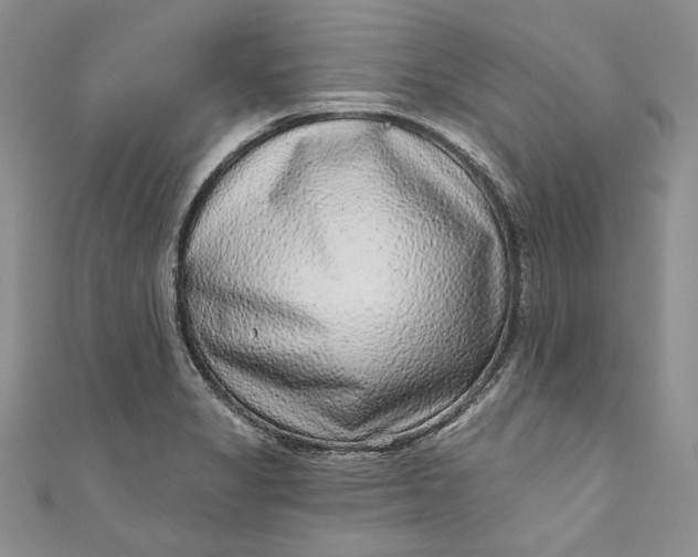 X0000110881325200907021449
