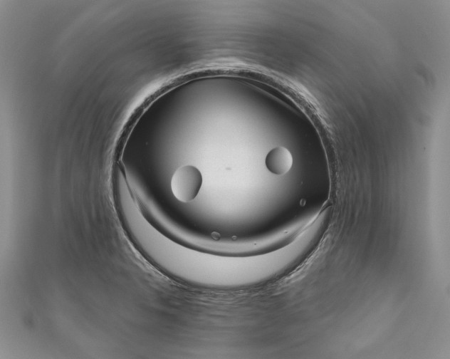 X0000110881326200907021449