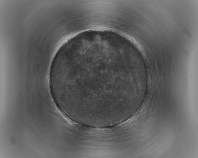 X0000110881327200907021449