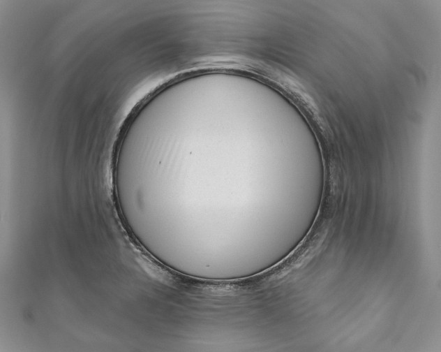 X0000110881328200907021449