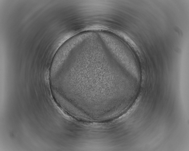 X0000110881329200907021449