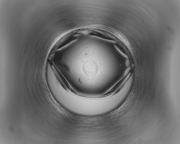 X0000110881332200907021449