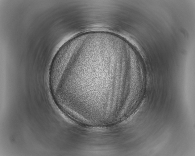 X0000110881333200907021449