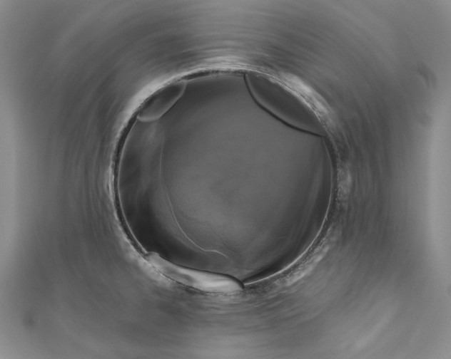 X0000110881334200907021449