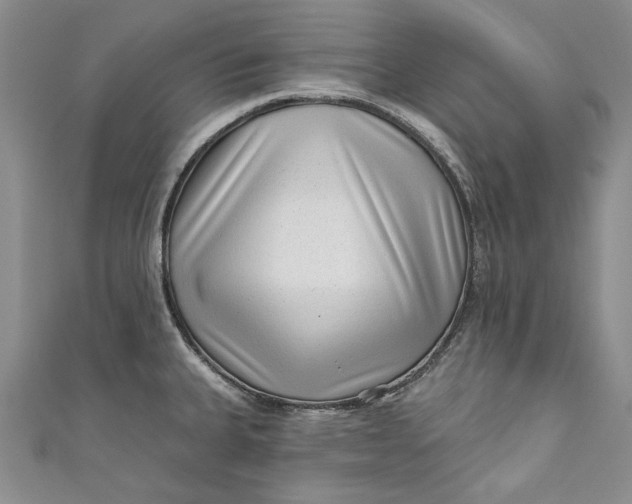 X0000110881335200907021449