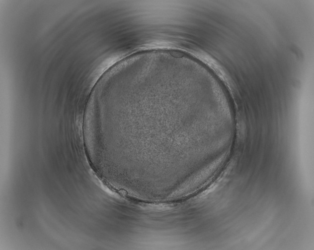 X0000110881337200907021449