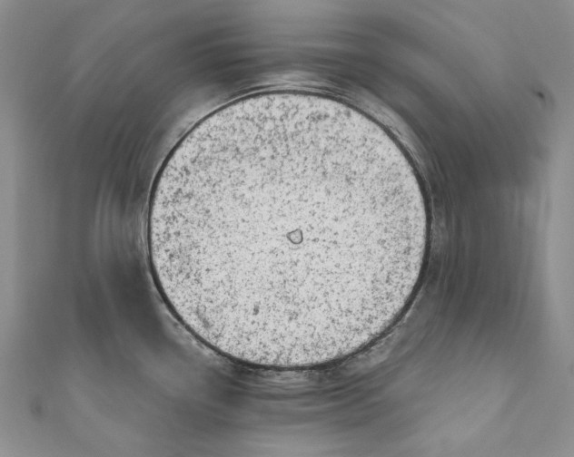 X0000110881338200907021449
