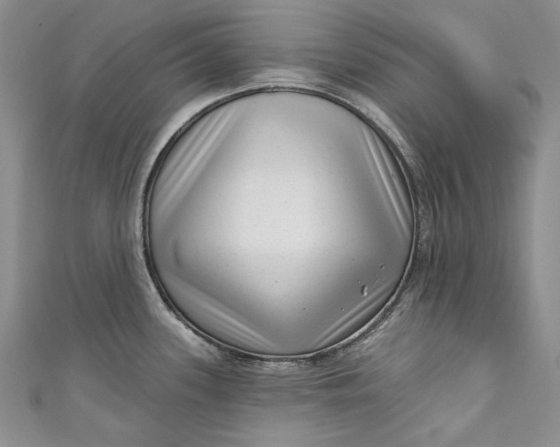 X0000110881339200907021449