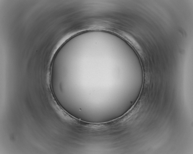X0000110881340200907021449