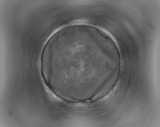 X0000110881341200907021449