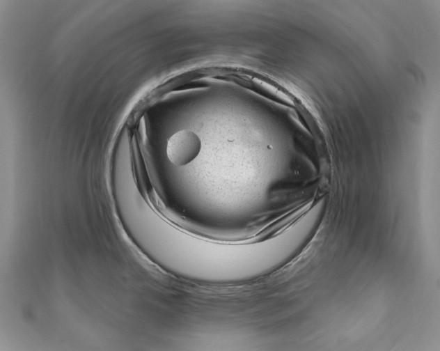 X0000110881342200907021449