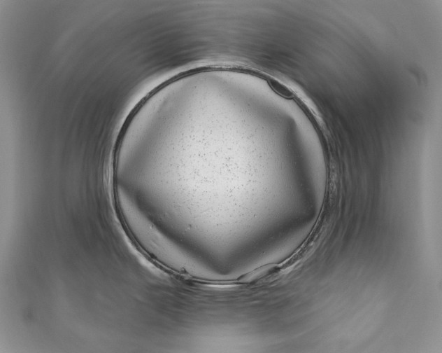 X0000110881343200907021449