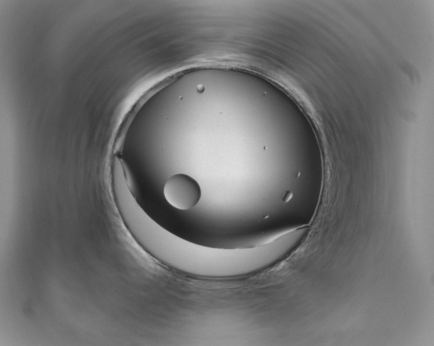 X0000110881344200907021449