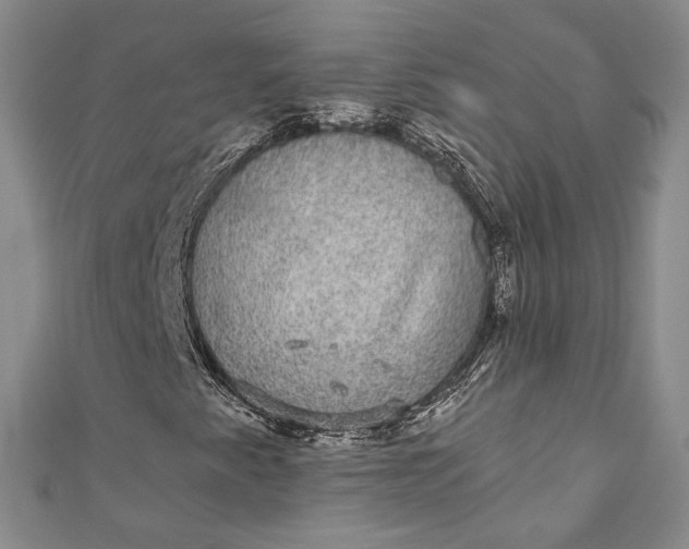 X0000110881345200907021448