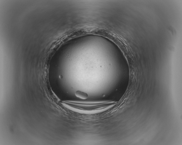 X0000110881349200907021448