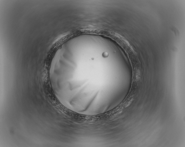 X0000110881350200907021448