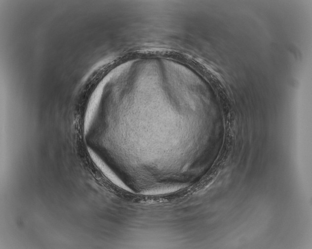 X0000110881351200907021448