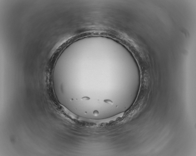 X0000110881352200907021448