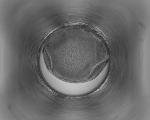 X0000110881353200907021448