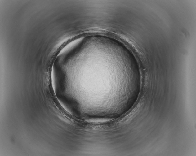 X0000110881355200907021448