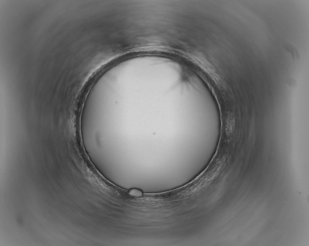 X0000110881356200907021448