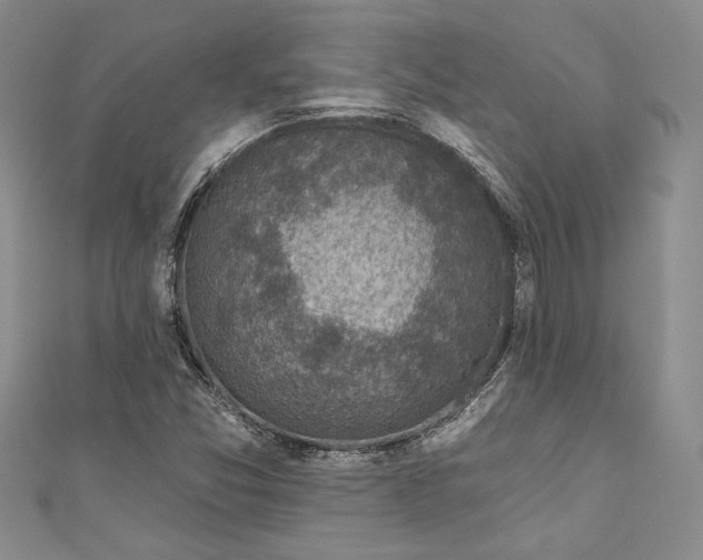 X0000110881357200907021448
