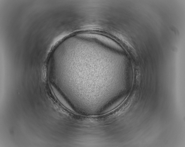 X0000110881358200907021448