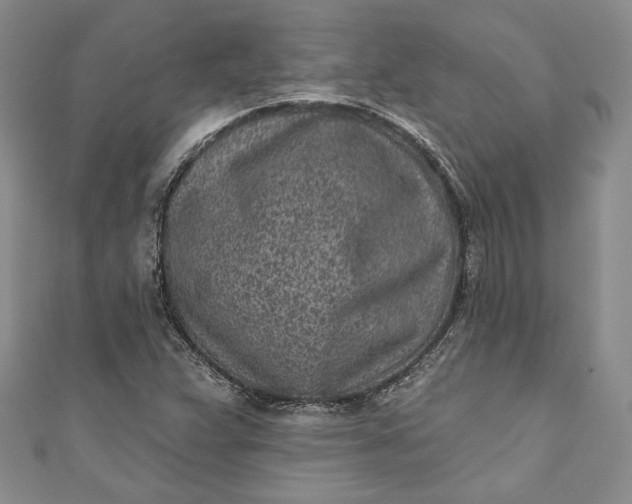 X0000110881359200907021448