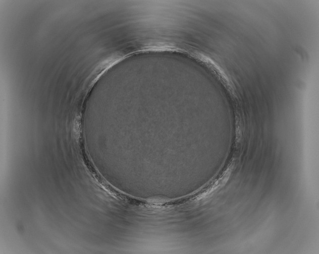 X0000110881361200907021448
