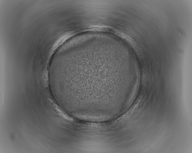 X0000110881362200907021448