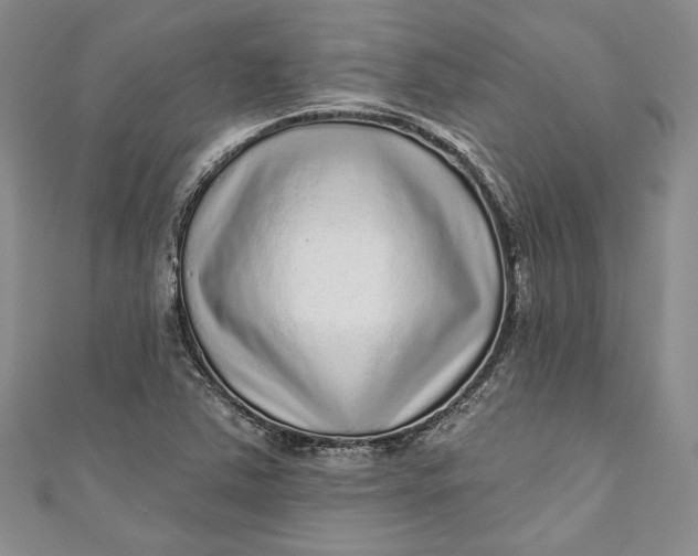 X0000110881363200907021448