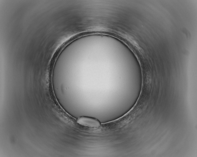 X0000110881364200907021448