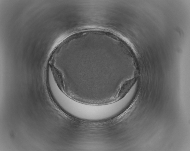 X0000110881365200907021448
