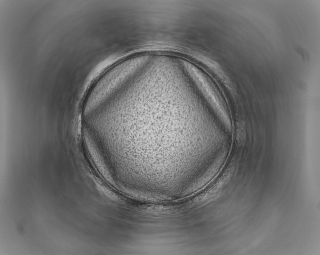 X0000110881366200907021448