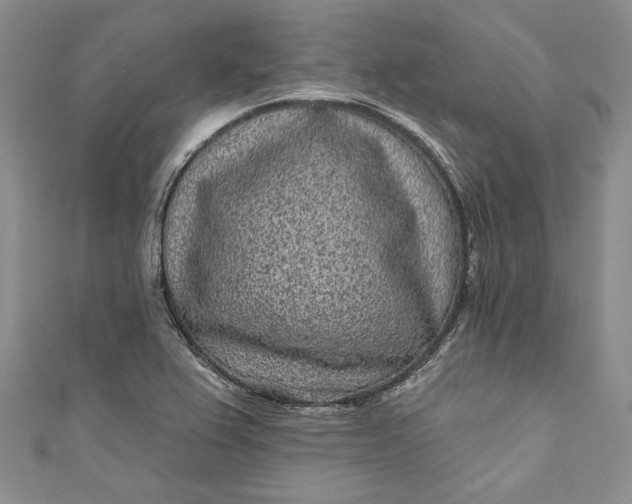 X0000110881367200907021448