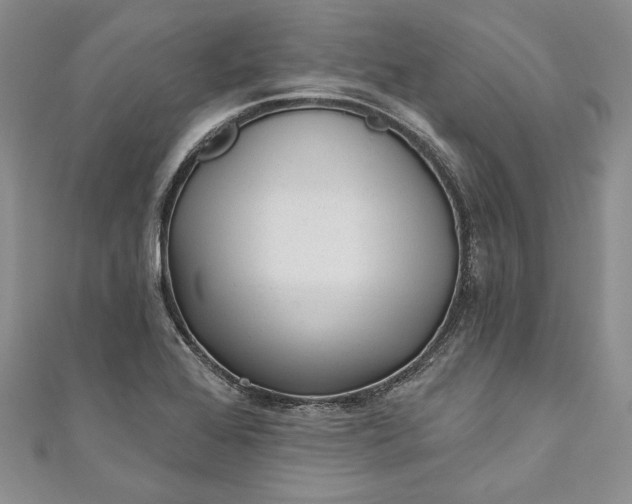 X0000110881368200907021448