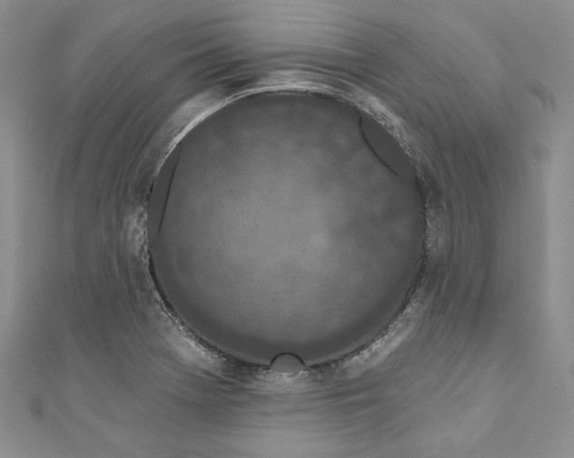 X0000110881369200907021448