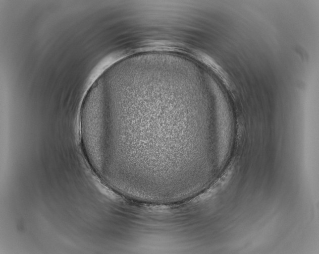 X0000110881370200907021448