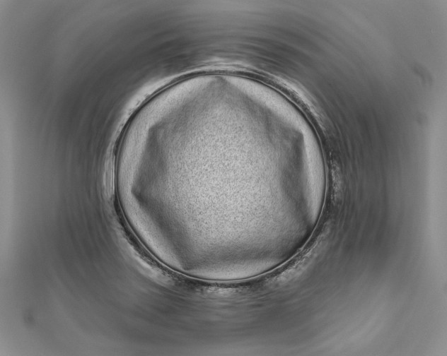 X0000110881371200907021448