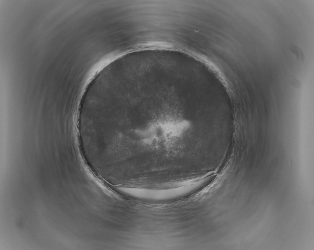 X0000110881373200907021448