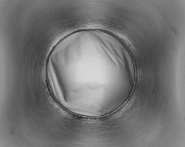 X0000110881374200907021448