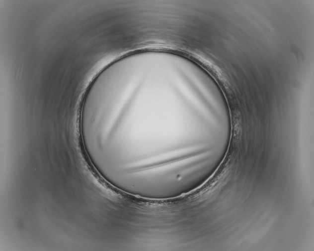 X0000110881375200907021448