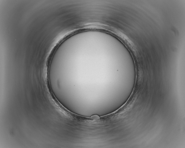 X0000110881376200907021448