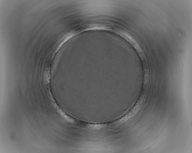X0000110881377200907021448