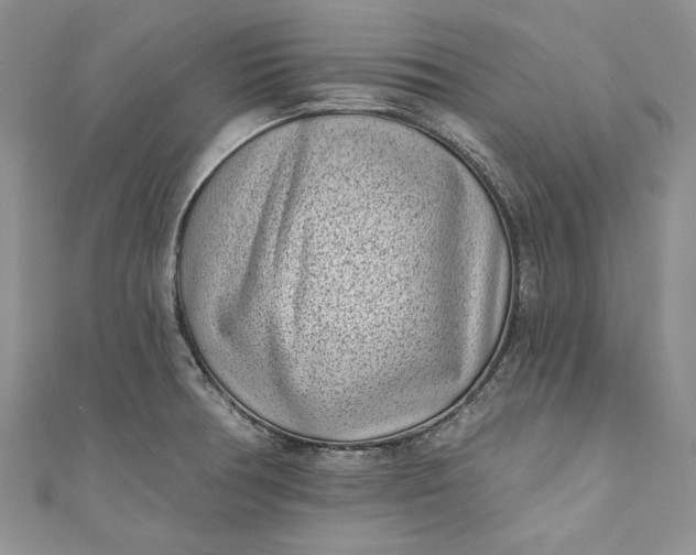 X0000110881378200907021448